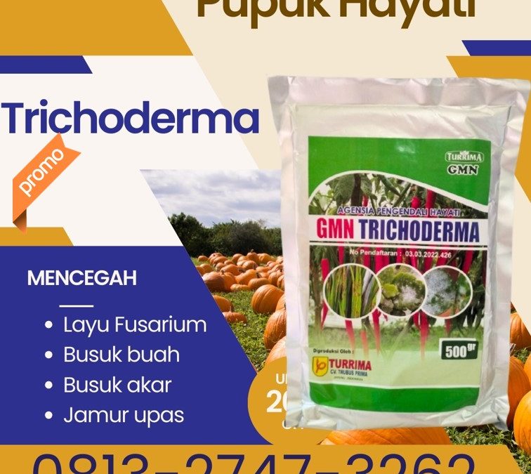 TERLARIS! 0813-2747-3262, PRODUSEN GMN Trichoderma Kota Bukittinggi, Fungisida Kota Payakumbuh, Fungisida Trichoderma Kota Pariaman