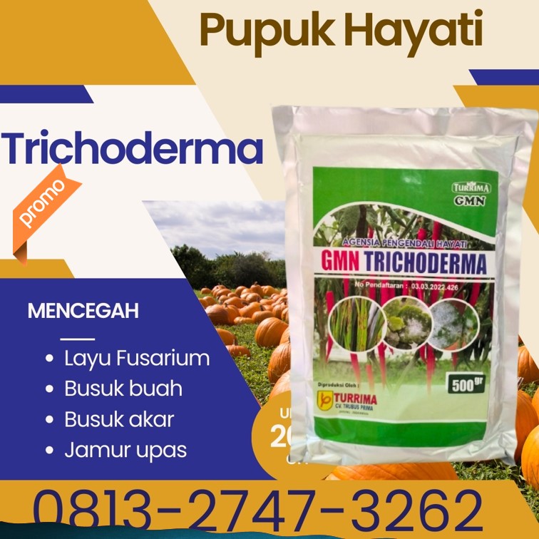 PRODUSEN Fungisida Penambah Bobot Padi Kota Bukittinggi, JUAL Pupuk Fungisida Kota Payakumbuh, Fungisida Trichoderma Kota Pariaman