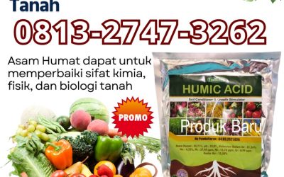 ALAMI CALL 0813-2747-3262, HARGA Asam Humat Probolinggo, Humic Acid Sampang, Asam Humat Terbaik Sidoarjo