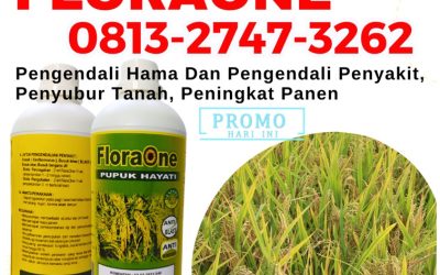 ALAMI CALL 0813-2747-3262, HARGA Pupuk Cair Untuk Padi Kota Sabang, Pupuk Hayati Untuk Padi Kota Subulussalam, Trichoderma Untuk Padi Arongan Lambalek