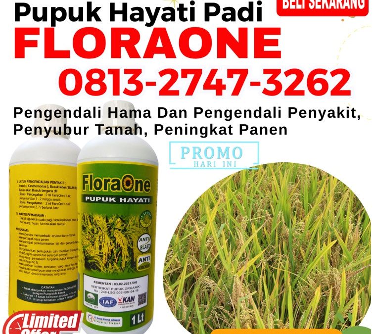 HARGA Pupuk Terbaik Untuk Padi Bunting Kota Sabang, AGEN Pupuk Untuk Padi Yang Bagus Kota Subulussalam, Pupuk Cair Untuk Pengisian Bulir Padi Arongan Lambalek