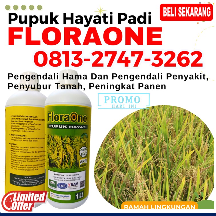 HARGA Pupuk Terbaik Untuk Padi Bunting Kota Sabang, AGEN Pupuk Untuk Padi Yang Bagus Kota Subulussalam, Pupuk Cair Untuk Pengisian Bulir Padi Arongan Lambalek
