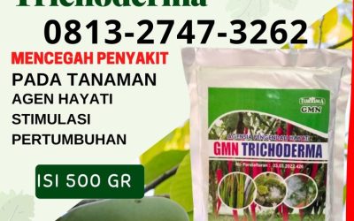 SEDANG DISKON! 0813-2747-3262, PUSAT Fungisida Trichoderma Solok Selatan, Fungisida Hayati Trichoderma Padang Aro, Fungisida Tricoderma Pasaman Barat