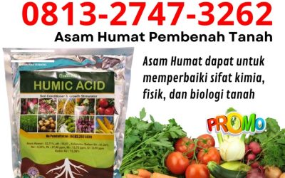 ORGANIK CALL 0813-2747-3262, AGEN Humic Acid Sampang, Asam Humat Terbaik Sidoarjo, Asam Humat Situbondo