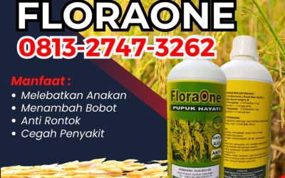 ORGANIK CALL 0813-2747-3262, AGEN Pupuk Hayati Untuk Padi Kota Subulussalam, Trichoderma Untuk Padi Arongan Lambalek, Floraone Pupuk Hayati Bubon
