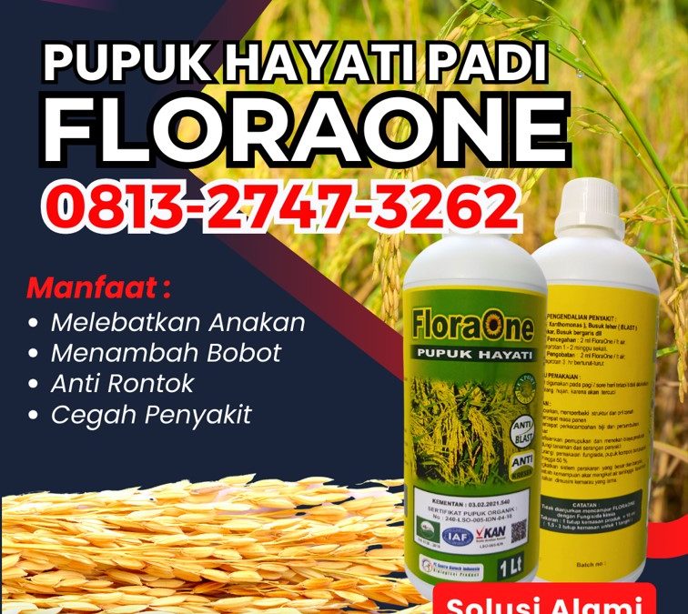 AGEN Pupuk Untuk Padi Yang Bagus Kota Subulussalam, DISTRIBUTOR Pupuk Cair Untuk Pengisian Bulir Padi Arongan Lambalek, Pupuk Semprot Untuk Buah Padi Bubon