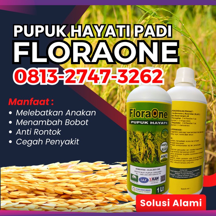 AGEN Pupuk Untuk Padi Yang Bagus Kota Subulussalam, DISTRIBUTOR Pupuk Cair Untuk Pengisian Bulir Padi Arongan Lambalek, Pupuk Semprot Untuk Buah Padi Bubon