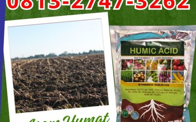 GA MAIN MAIN CALL 0813-2747-3262, DISTRIBUTOR Asam Humat Terbaik Sidoarjo, Asam Humat Situbondo, Humic Acid Sumenep