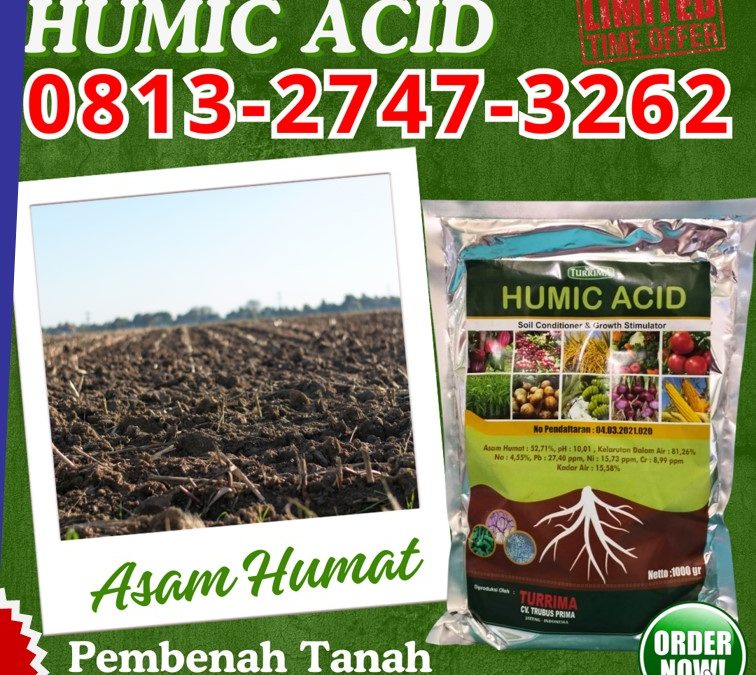 GA MAIN MAIN CALL 0813-2747-3262, DISTRIBUTOR Asam Humat Terbaik Sidoarjo, Asam Humat Situbondo, Humic Acid Sumenep