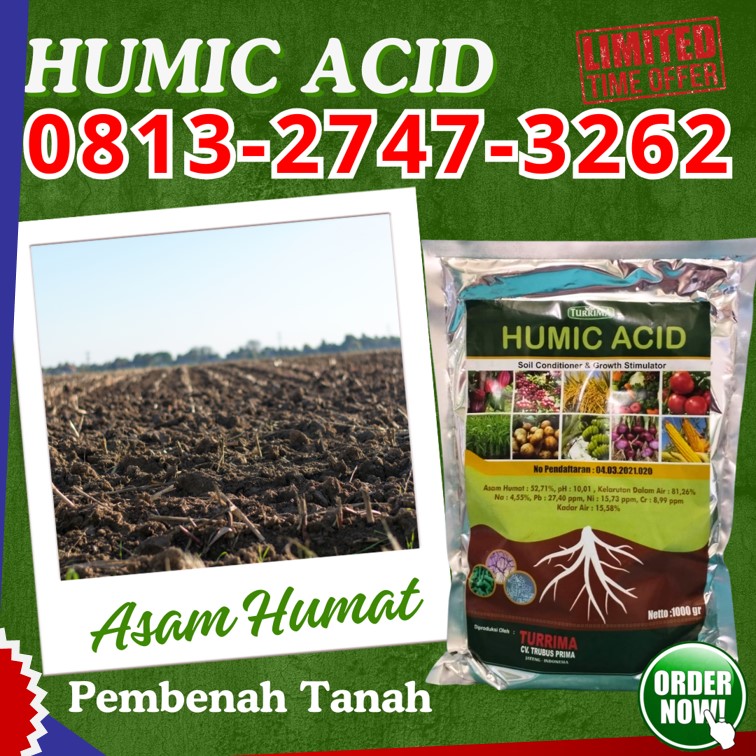 DISTRIBUTOR Pupuk Organik Asam Humat Sidoarjo, AGEN Asam Humat Murah Situbondo, Asam Humat Musim Hujan Sumenep