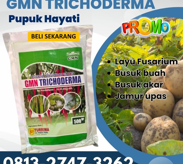 TERBUKTI! 0813-2747-3262, HARGA Fungisida Tricoderma Pasaman Barat, GMN Trichoderma Simpang Ampek, Fungisida Kota Padang