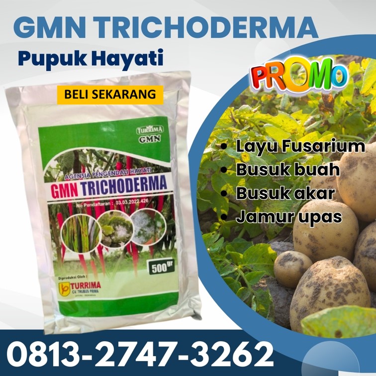 HARGA Obat Fungisida Pasaman Barat, AGEN Obat Fungisida Padi Simpang Ampek, Obat Fungisida Untuk Cabe Kota Padang
