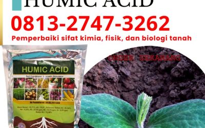GARA GARA INI CALL 0813-2747-3262, AGEN Asam Humat Situbondo, Humic Acid Sumenep, Asam Humat Terbaik Trenggalek