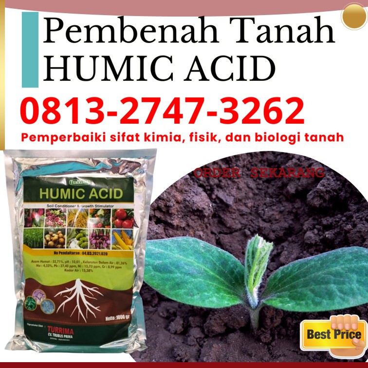 AGEN Asam Humat Murah Situbondo, TOKO Asam Humat Musim Hujan Sumenep, Asam Humat Untuk Bawang Merah Trenggalek