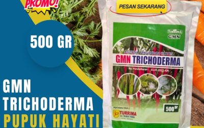 ORGANIK! 0813-2747-3262, AGEN GMN Trichoderma Simpang Ampek, Fungisida Kota Padang, Fungisida Trichoderma Kota Solok