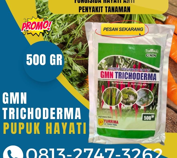 ORGANIK! 0813-2747-3262, AGEN GMN Trichoderma Simpang Ampek, Fungisida Kota Padang, Fungisida Trichoderma Kota Solok