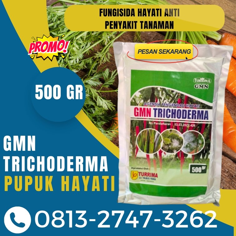 AGEN Obat Fungisida Padi Simpang Ampek, DISTRIBUTOR Obat Fungisida Untuk Cabe Kota Padang, Obat Fungisida Padi Terbaik Kota Solok