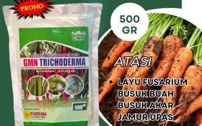 TERBAIK! 0813-2747-3262, DISTRIBUTOR Fungisida Kota Padang, Fungisida Trichoderma Kota Solok, Fungisida Hayati Trichoderma Kota Sawahlunto