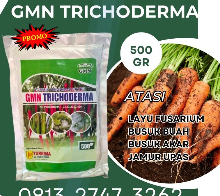 TERBAIK! 0813-2747-3262, DISTRIBUTOR Fungisida Kota Padang, Fungisida Trichoderma Kota Solok, Fungisida Hayati Trichoderma Kota Sawahlunto