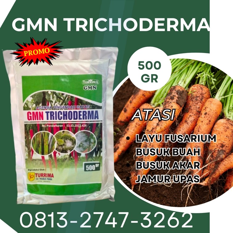 DISTRIBUTOR Obat Fungisida Untuk Cabe Kota Padang, AGEN Obat Fungisida Padi Terbaik Kota Solok, Obat Fungisida Jagung Kota Sawahlunto