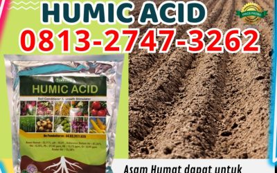 OH JADI INI CALL 0813-2747-3262, TOKO Humic Acid Sumenep, Asam Humat Terbaik Trenggalek, Asam Humat Tuban