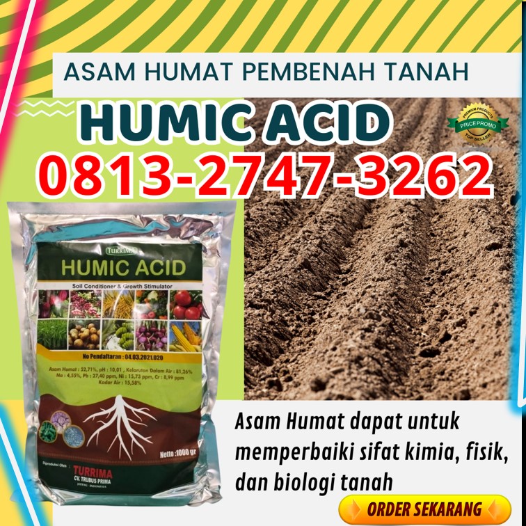 TOKO Asam Humat Musim Hujan Sumenep, SUPPLIER Asam Humat Untuk Bawang Merah Trenggalek, Asam Humat Untuk Jeruk Tuban