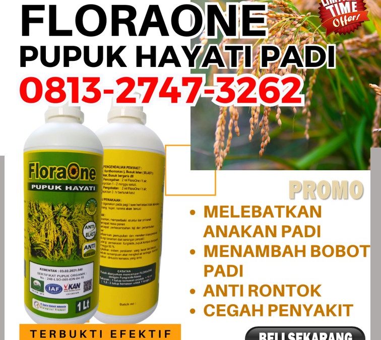 OH JADI INI CALL 0813-2747-3262, TOKO Pupuk Untuk Padi Johan Pahlawan, Pupuk Padi Kaway Xvi, Pupuk Cair Untuk Padi Meureubo