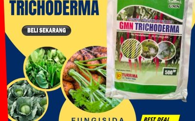 PASTI SUBUR! 0813-2747-3262, AGEN Fungisida Trichoderma Kota Solok, Fungisida Hayati Trichoderma Kota Sawahlunto, Fungisida Tricoderma Kota Padangpanjang