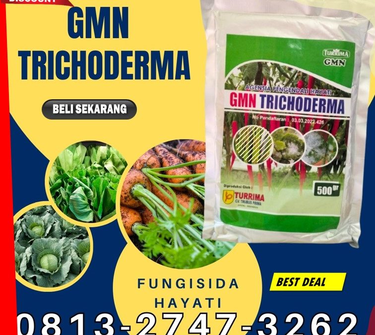 PASTI SUBUR! 0813-2747-3262, AGEN Fungisida Trichoderma Kota Solok, Fungisida Hayati Trichoderma Kota Sawahlunto, Fungisida Tricoderma Kota Padangpanjang
