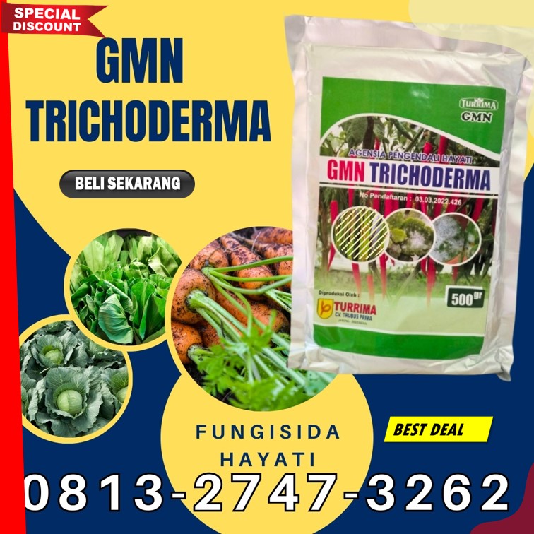 AGEN Obat Fungisida Padi Terbaik Kota Solok, TOKO Obat Fungisida Jagung Kota Sawahlunto, Fungisida Pembesar Umbi Bawang Merah Kota Padangpanjang