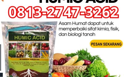 CUMA BULAN INI CALL 0813-2747-3262, SUPPLIER Asam Humat Terbaik Trenggalek, Asam Humat Tuban, Humic Acid Tulungagung