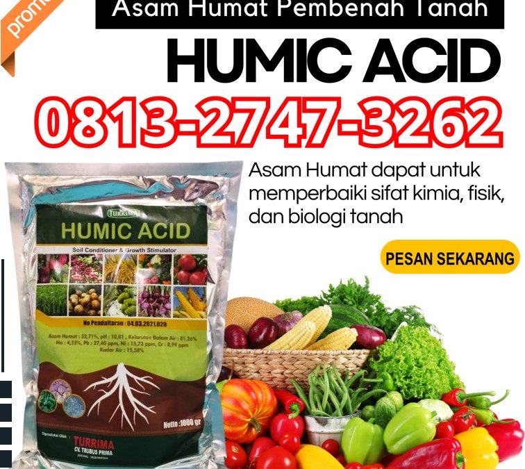 CUMA BULAN INI CALL 0813-2747-3262, SUPPLIER Asam Humat Terbaik Trenggalek, Asam Humat Tuban, Humic Acid Tulungagung