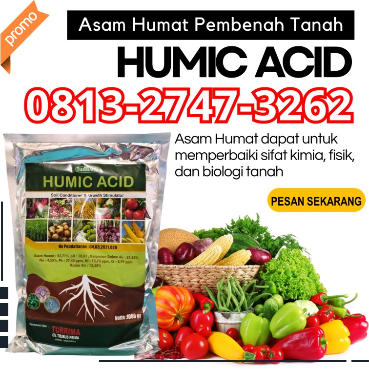 SUPPLIER Asam Humat Untuk Bawang Merah Trenggalek, PUSAT Asam Humat Untuk Jeruk Tuban, Asam Humat Untuk Kentang Tulungagung