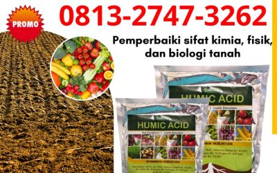 ALAMI CALL 0813-2747-3262, PUSAT Asam Humat Tuban, Humic Acid Tulungagung, Asam Humat Terbaik Kota Batu