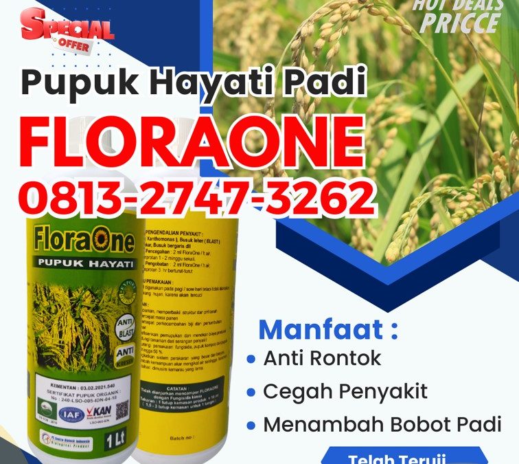 ALAMI CALL 0813-2747-3262, PUSAT Pupuk Cair Untuk Padi Meureubo, Pupuk Hayati Untuk Padi Pantai Ceuremen, Trichoderma Untuk Padi Panton Reu