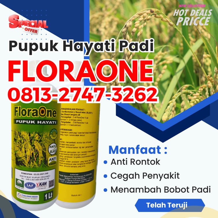 PUSAT Pupuk Cair Untuk Padi Meureubo, JUAL Pupuk Cair Untuk Padi Umur 40 Hari Pantai Ceuremen, Pupuk Cng Untuk Padi Panton Reu