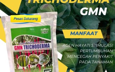 BISA COD! 0813-2747-3262, TOKO Fungisida Hayati Trichoderma Kota Sawahlunto, Fungisida Tricoderma Kota Padangpanjang, GMN Trichoderma Kota Bukittinggi