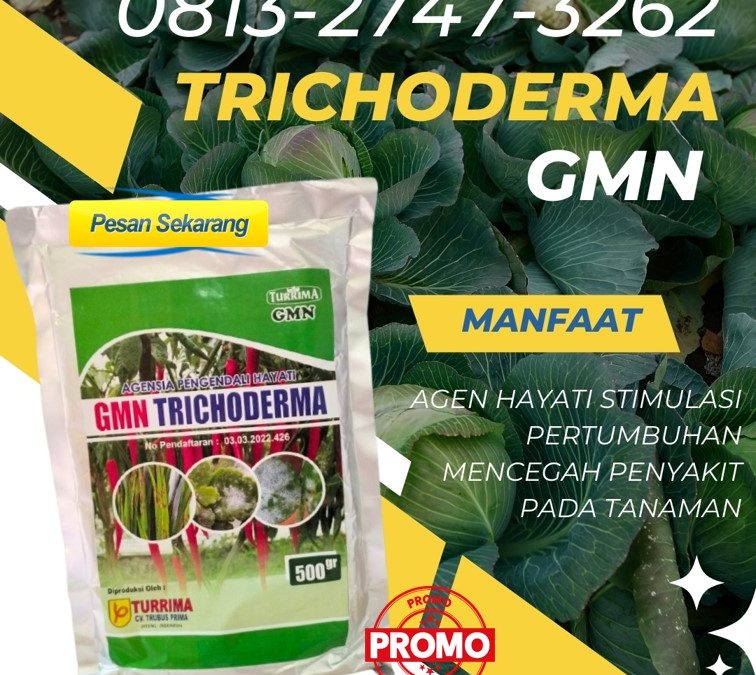 BISA COD! 0813-2747-3262, TOKO Fungisida Hayati Trichoderma Kota Sawahlunto, Fungisida Tricoderma Kota Padangpanjang, GMN Trichoderma Kota Bukittinggi
