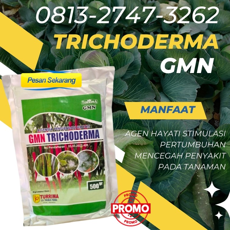 TOKO Obat Fungisida Jagung Kota Sawahlunto, SUPPLIER Fungisida Pembesar Umbi Bawang Merah Kota Padangpanjang, Fungisida Penambah Bobot Padi Kota Bukittinggi