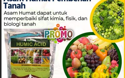 ORGANIK CALL 0813-2747-3262, JUAL Humic Acid Tulungagung, Asam Humat Terbaik Kota Batu, Asam Humat Kota Blitar