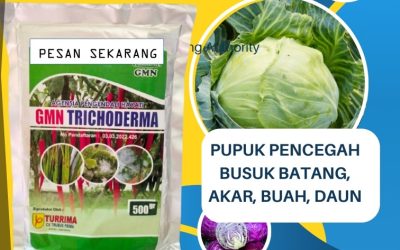 FAST REPON! 0813-2747-3262, SUPPLIER Fungisida Tricoderma Kota Padangpanjang, GMN Trichoderma Kota Bukittinggi, Fungisida Kota Payakumbuh