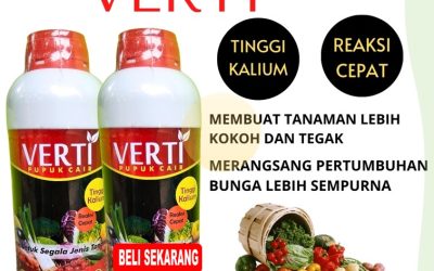 GARA GARA INI CALL 0812-2882-4834, AGEN Pupuk Kalium Cair Terbaik Aceh Tamiang