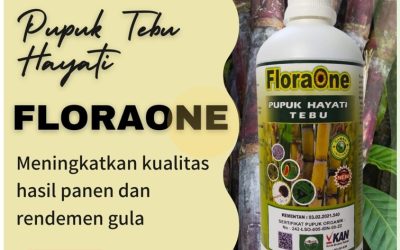 GARA GARA INI CALL 0812-2882-4834, AGEN Pupuk Tebu Terbaik Kabupaten Jember