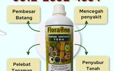 ORGANIK CALL 0812-2882-4834, AGEN Pupuk Untuk Tebu Kabupaten Bondowoso