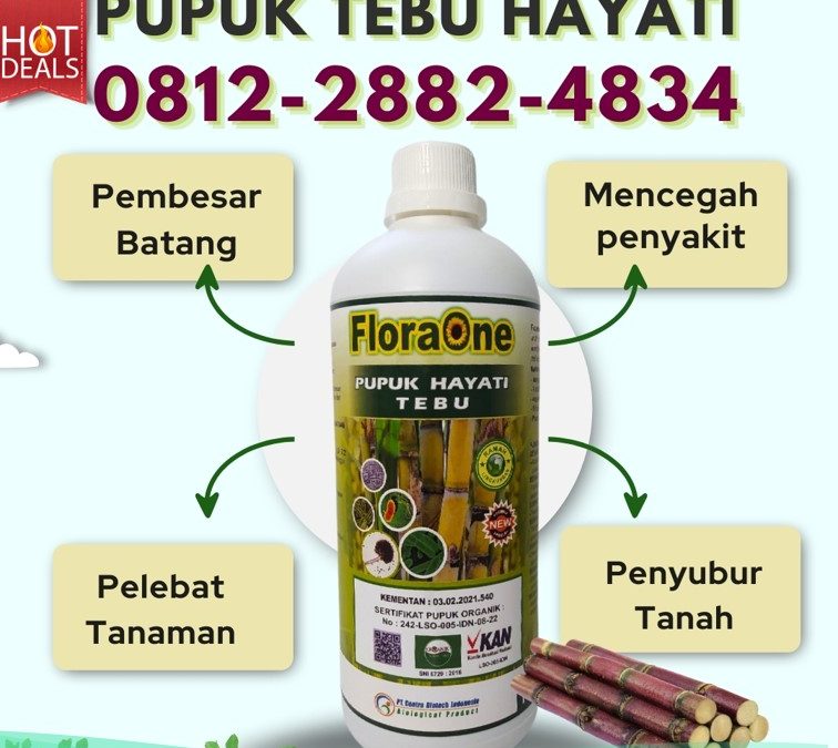 AGEN Pupuk Untuk Tebu Kabupaten Bondowoso