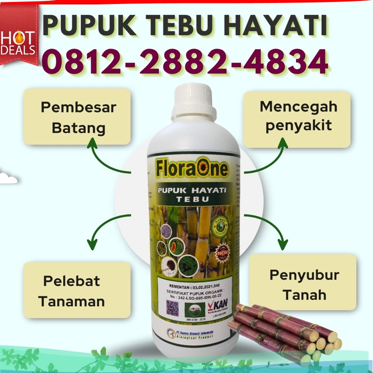 AGEN Pupuk Untuk Tebu Kabupaten Bondowoso