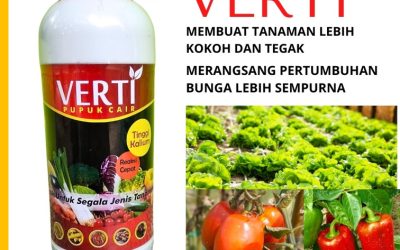 GA MAIN MAIN CALL 0812-2882-4834, DISTRIBUTOR Pupuk Kalium Cair Aceh Singkil