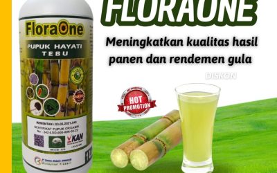 GA MAIN MAIN CALL 0812-2882-4834, DISTRIBUTOR Pupuk Tebu Kabupaten Gresik