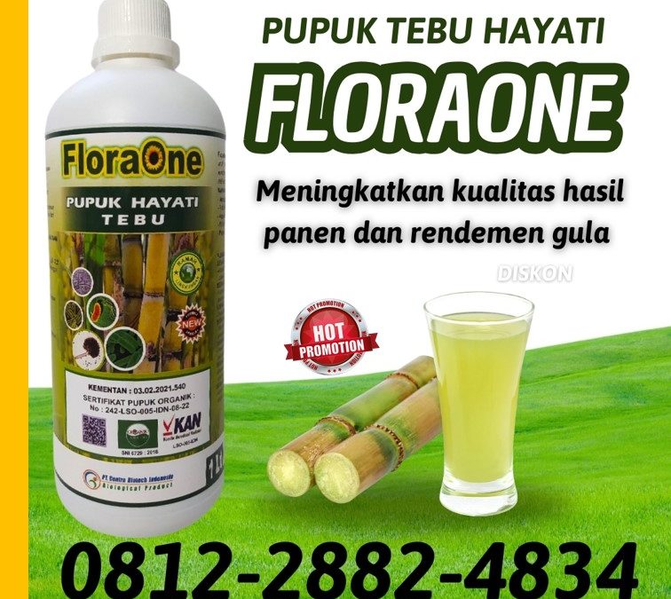 GA MAIN MAIN CALL 0812-2882-4834, DISTRIBUTOR Pupuk Tebu Kabupaten Gresik