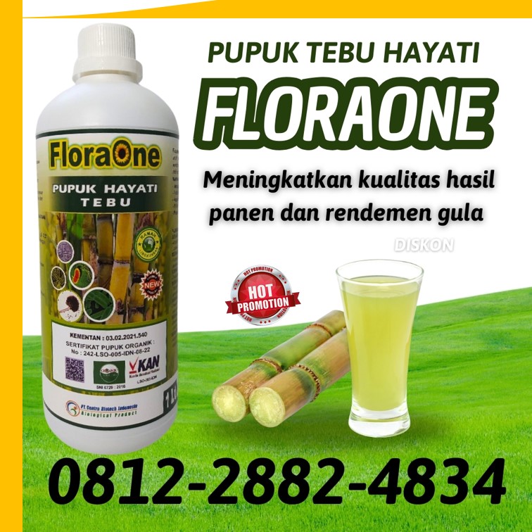 DISTRIBUTOR Pupuk Tebu Kabupaten Gresik